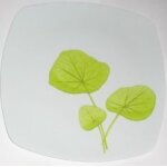 Lot de 6 assiettes en plastique rigide blanc et motif feuilles vertes