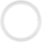 Osram led g10q en forme d'anneau 20 w blanc froid