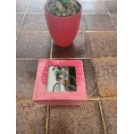 Tasse minnie et daisy