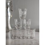 Verres digestif cristal grav