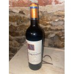 Vin bordeaux - fronsac - 2017 - ch�teau carlmagnus - parker 90 + / 100 - hachette 2021