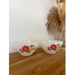 Vintage lot de deux bols arcopal rotterdam