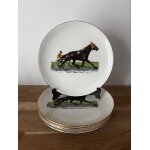 Vintage ensemble de 5 assiettes a dessert chevaux masina reine du trotting