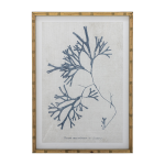 Illustration sumner avec cadre nature firwood - bloomingville