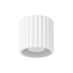 Plafonnier en aluminium blanc 10 cm aura 1 - sollux