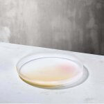Plat de service pigmento 28�cm beige & rose sprayed - nude glass