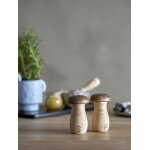 Set de sali�res et poivri�res rahim en h�v�a brun - bloomingville