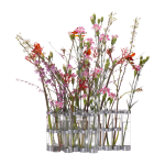 Vase en verre transparent avril - ts� & ts�