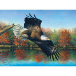 Puzzle abraham hunter - wetlands eagle sunsout
