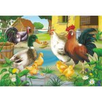 Puzzle animaux de la ferme : poule, coq, canard, poussins et dindons