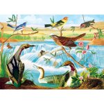 Puzzle audubon - harmonie des oiseaux et des ruisseaux master pieces