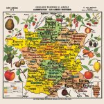 Puzzle en bois dcoup  la main - carte de france des fruits