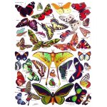 Puzzle butterflies - papillons new york puzzle company