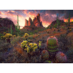 Puzzle cactus et �pines ravensburger