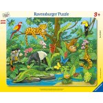 Puzzle cadre - animaux de la fort tropicale ravensburger