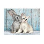 Puzzle chat et lapin clementoni Puzzle chat et lapin clementoni