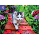 Puzzle chaton nathan