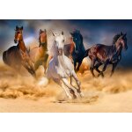 Puzzle chevaux dans le dsert enjoy puzzle