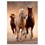 Puzzle chevaux au galop i clementoni