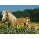 Puzzle pi�ces xxl - mon cheval ravensburger