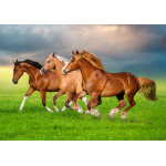 Puzzle chevaux en rue vers le printemps castorland