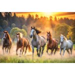 Puzzle chevaux sauvages trefl