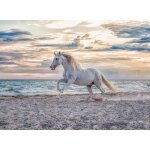 Puzzle cheval sur la plage ravensburger