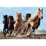 Puzzle chevaux trefl
