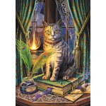 Puzzle collection magic : livre des ombres trefl