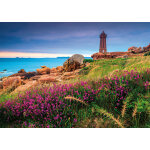 Puzzle collection r�gions de france - la c�te atlantique nathan