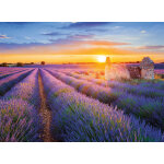 Puzzle collection r�gions de france - route de la lavande, valensole