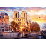 Puzzle notre dame paris, france roovi