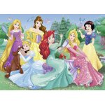 Puzzle disney princess nathan