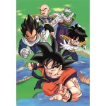 Puzzle dragon ball z clementoni