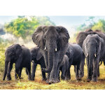 Puzzle Éléphants africains trefl Puzzle Éléphants africains trefl