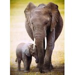 Puzzle l'éléphant et l'éléphanteau eurographics Puzzle l'éléphant et l'éléphanteau eurographics