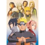 Puzzle l'�quipe naruto trefl
