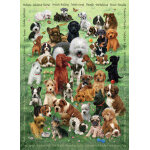 Puzzle family - chiots cobble hill