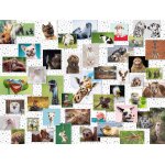 Puzzle funny animals collage ravensburger