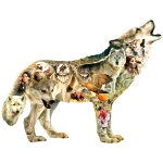 Puzzle greg giordano - native american wolf sunsout