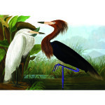 Puzzle herons kiub