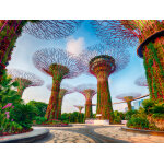 Puzzle jardin de la baie de singapour ravensburger