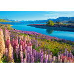 Puzzle lac tekapo, nouvelle - zlande castorland