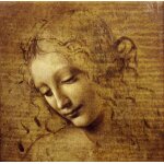 Puzzle lonard de vinci : visage de giovane fanciulla, 1508