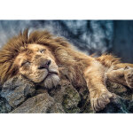 Puzzle lion trefl