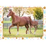 Puzzle maman et b�b� cheval nathan