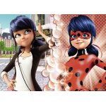 Puzzle miraculous - lady bug nathan Puzzle miraculous - lady bug nathan