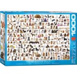 Puzzle un monde de chien eurographics Puzzle un monde de chien eurographics