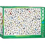 Puzzle le monde des oiseaux eurographics Puzzle le monde des oiseaux eurographics