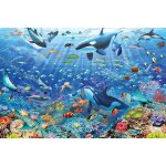Puzzle monde sous - marin color ravensburger